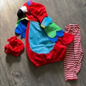 Baby Parrot 🦜 Halloween Costume 👻